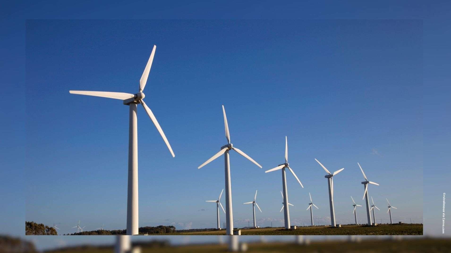 Le gouvernement français annonce la relance des appels d’offres pour les énergies renouvelables électriques